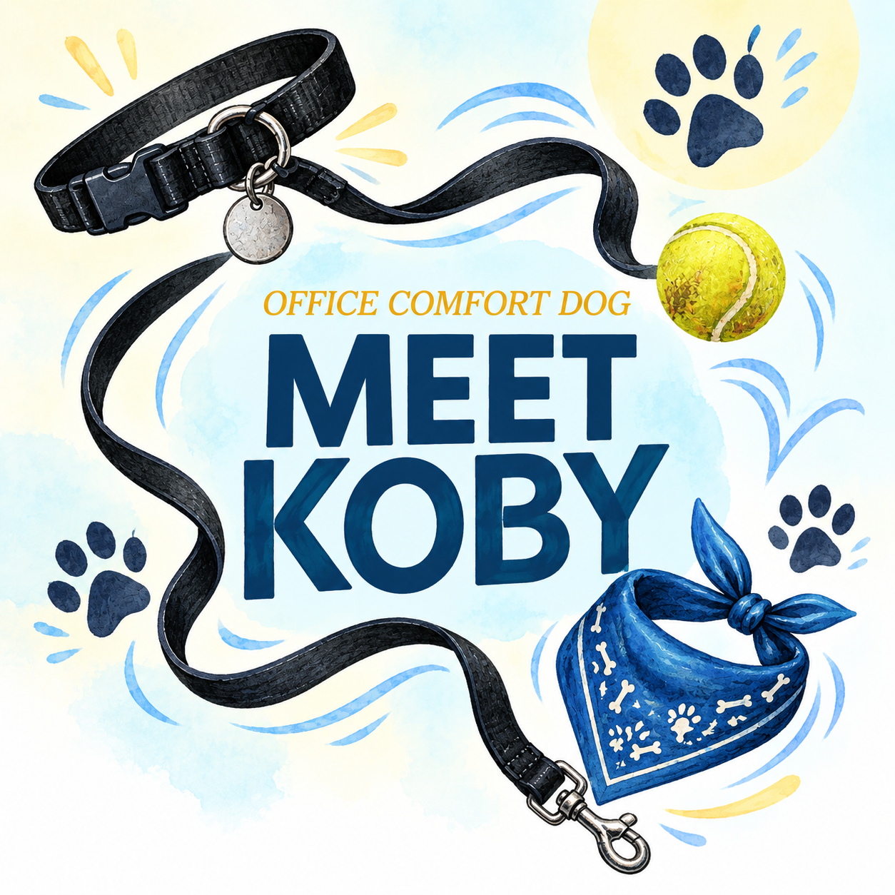 Meet Koby illustrated banner with a black collar, leash and tennis ball